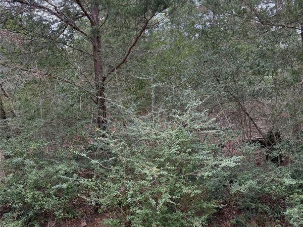 Lot 1428 Keeau CT, Bastrop, TX 78602