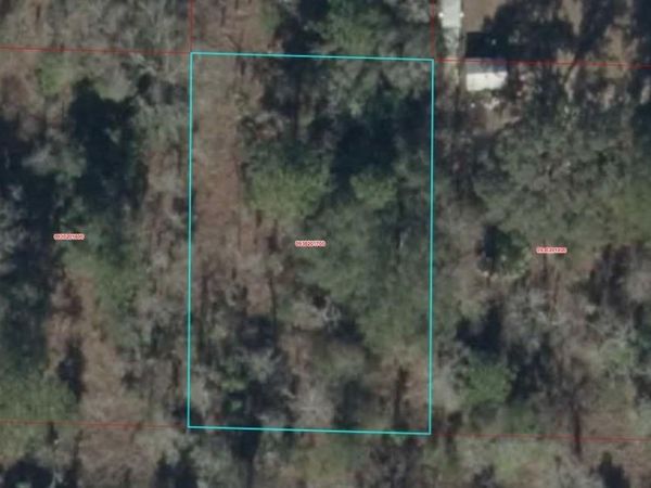 0930201700 NE 16TH LANE , WILLISTON, FL 32696