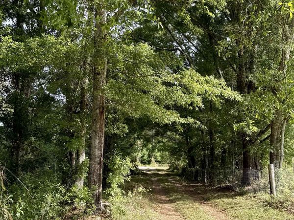 19160 County Road 68, Robertsdale, AL 36567