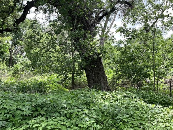 12760 Bernhardt Rd, San Antonio, TX 78263
