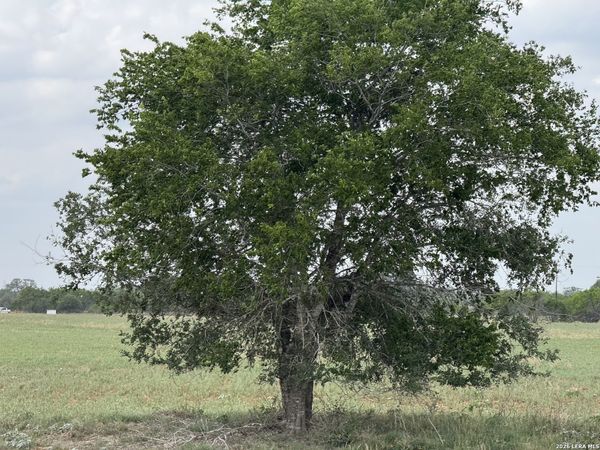 00 County Road 405, Floresville, TX 78114