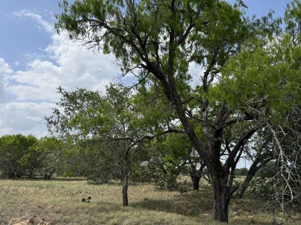 00 County Road 405, Floresville, TX 78114