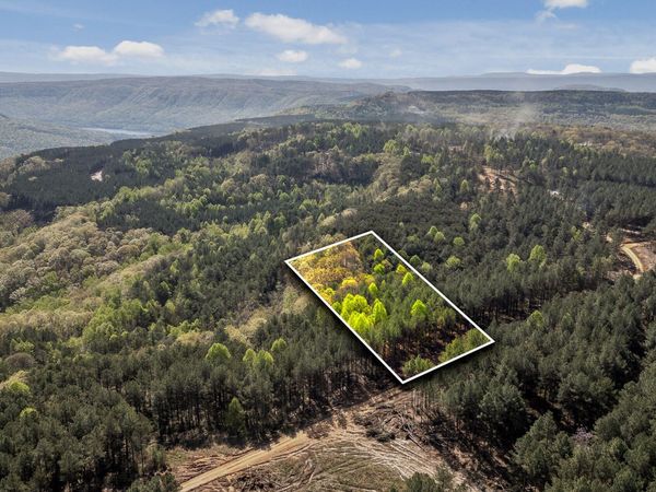 0 High Ground Lot 2233 Road, Guild, TN 37340