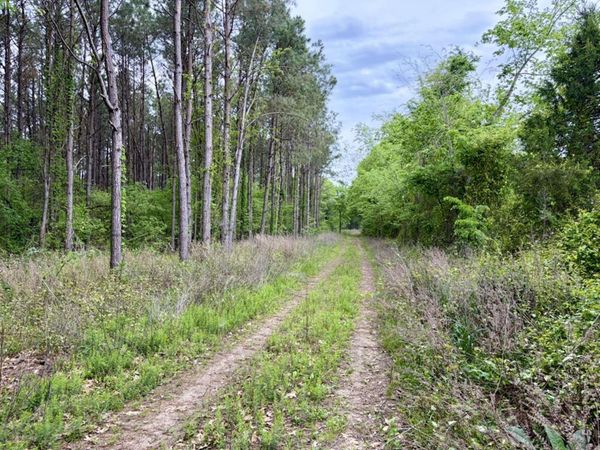 Dardanelle, AR 72834