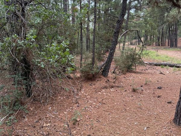 Lot 35 Tanglewood DR, Bastrop, TX 78602