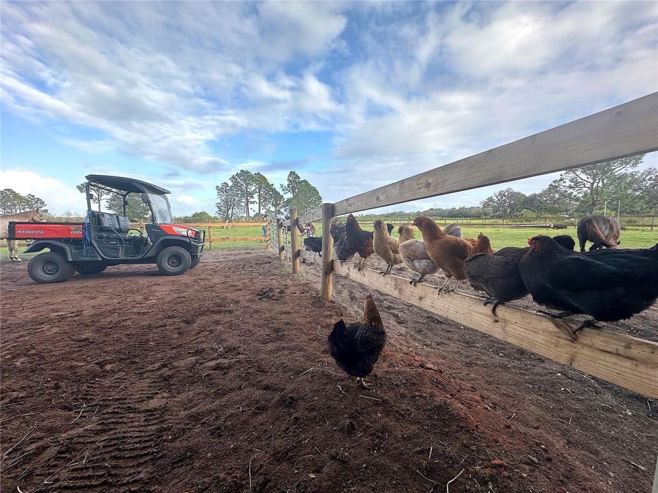 3046 N Bowden Road , Avon Park, FL 33825 Photo