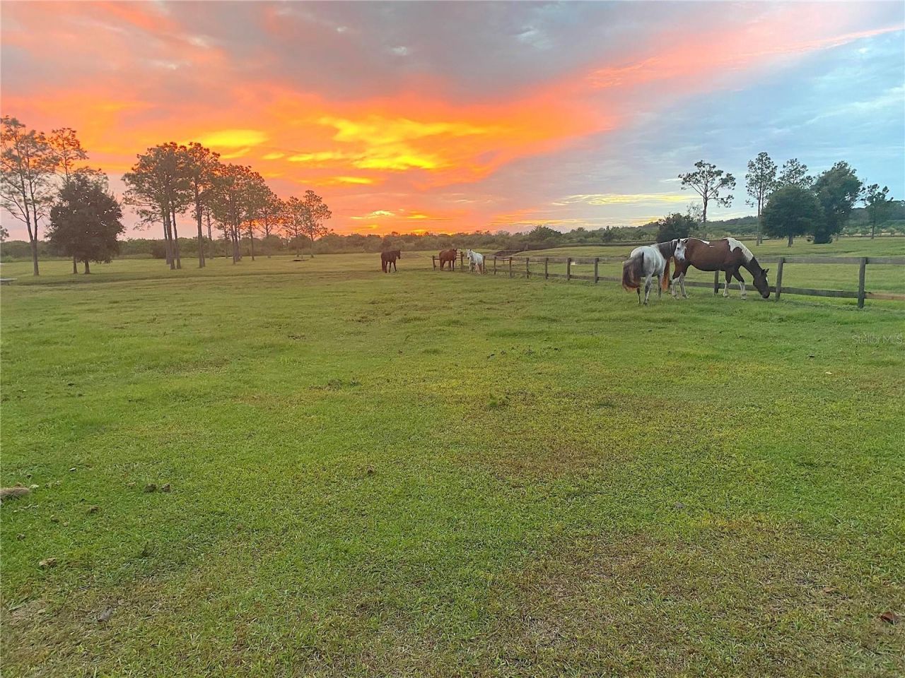 3046 N Bowden Road, Avon Park, FL 33825 Photo
