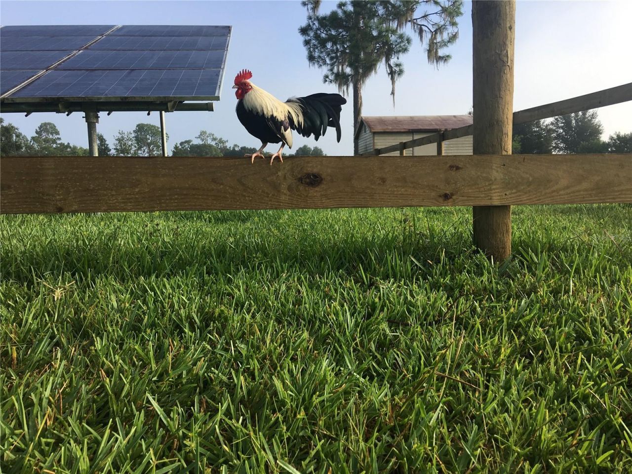 3046 N Bowden Road , Avon Park, FL 33825 Photo