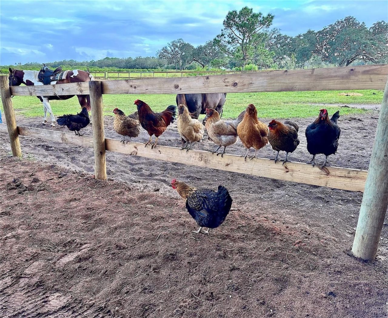 3046 N Bowden Road , Avon Park, FL 33825 Photo