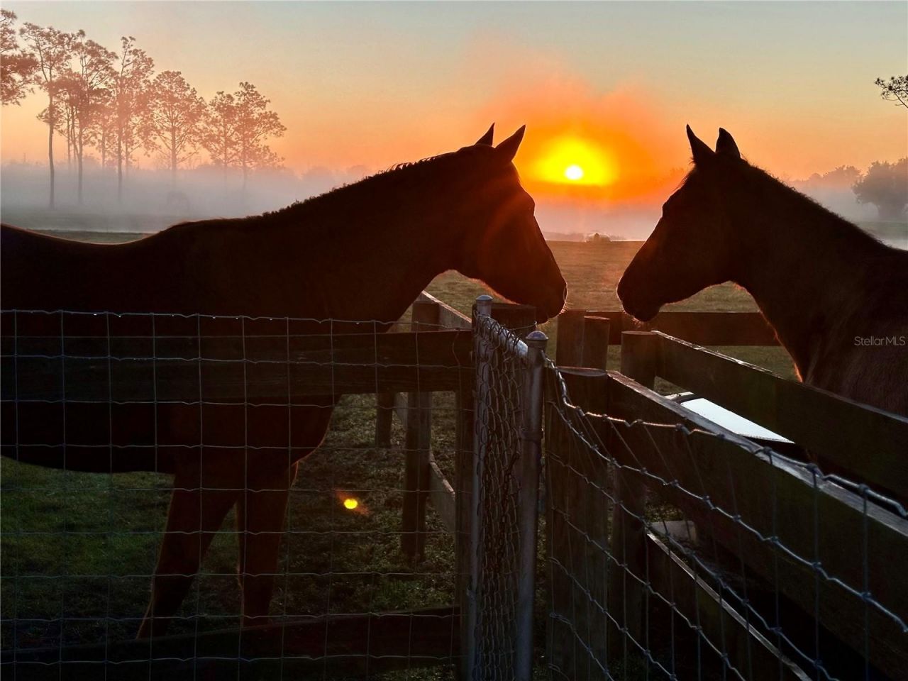 3046 N Bowden Road , Avon Park, FL 33825 Photo