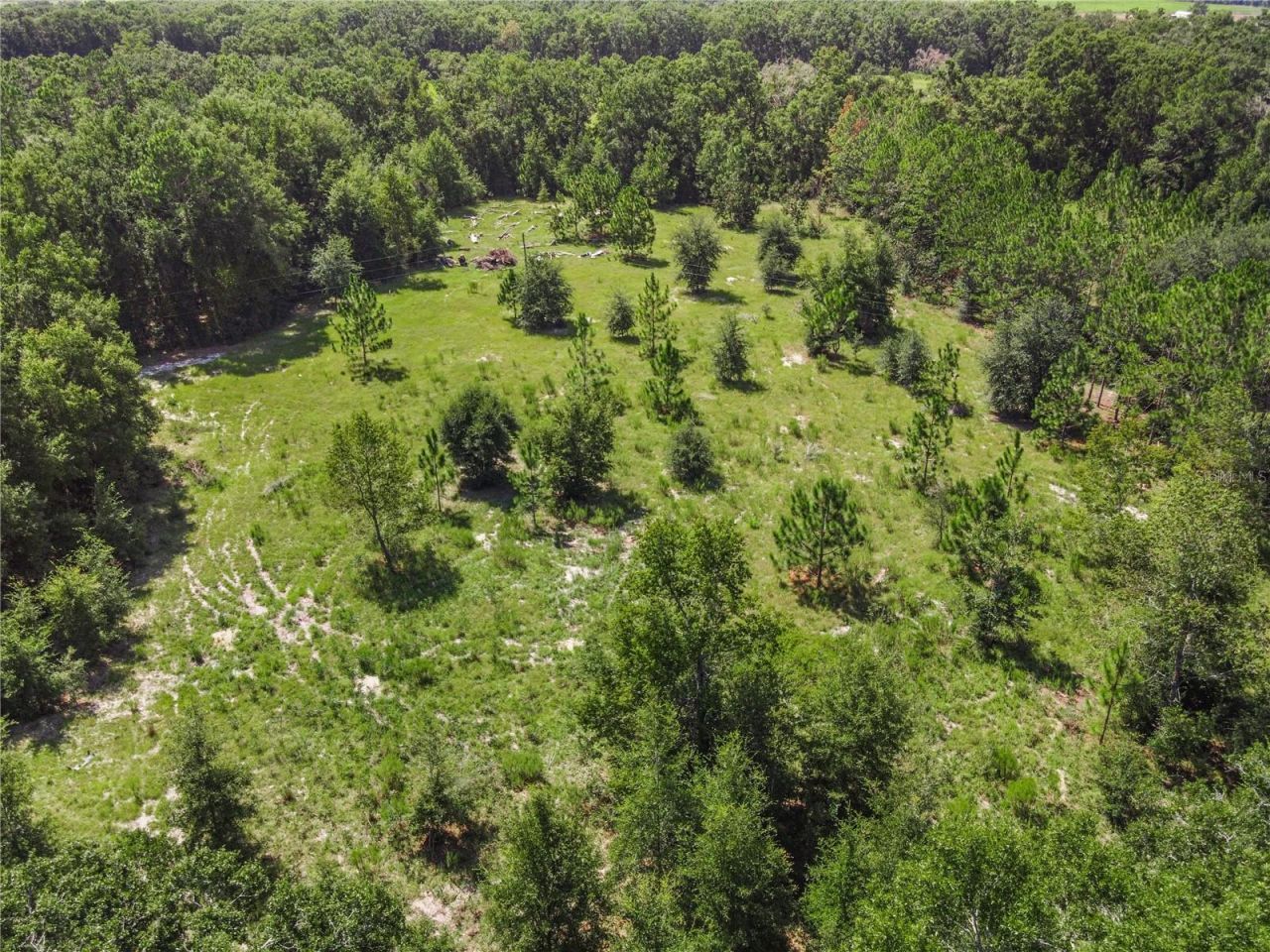 3749 V SW 22nd Place , Bell, FL 32619 Photo