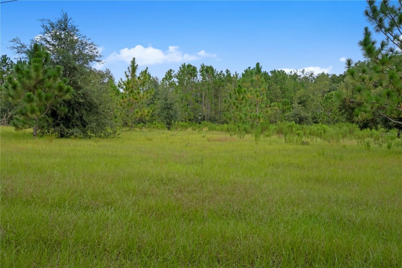 3749 V SW 22nd Place , Bell, FL 32619 Photo