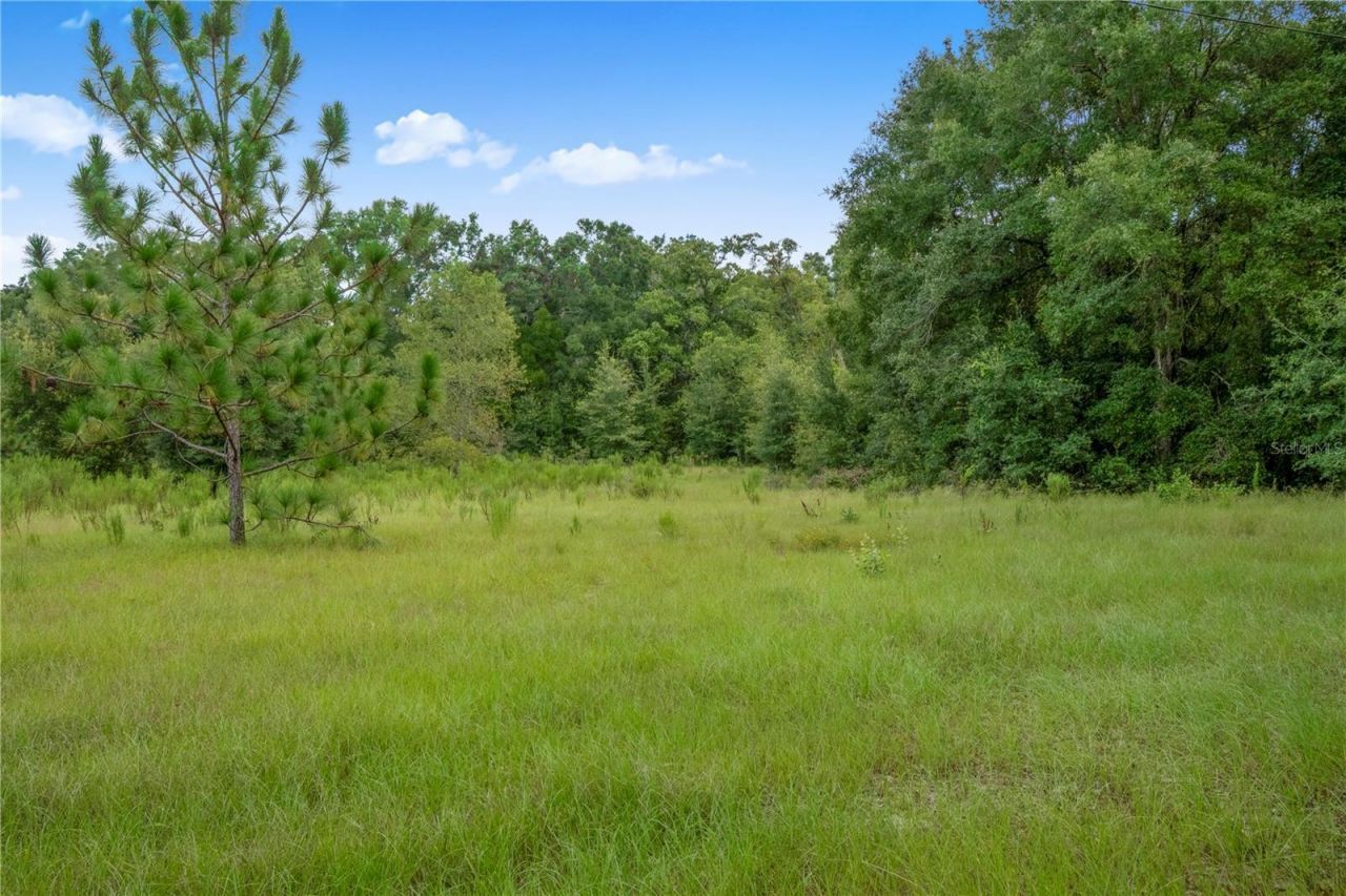 3749 V SW 22nd Place , Bell, FL 32619 Photo