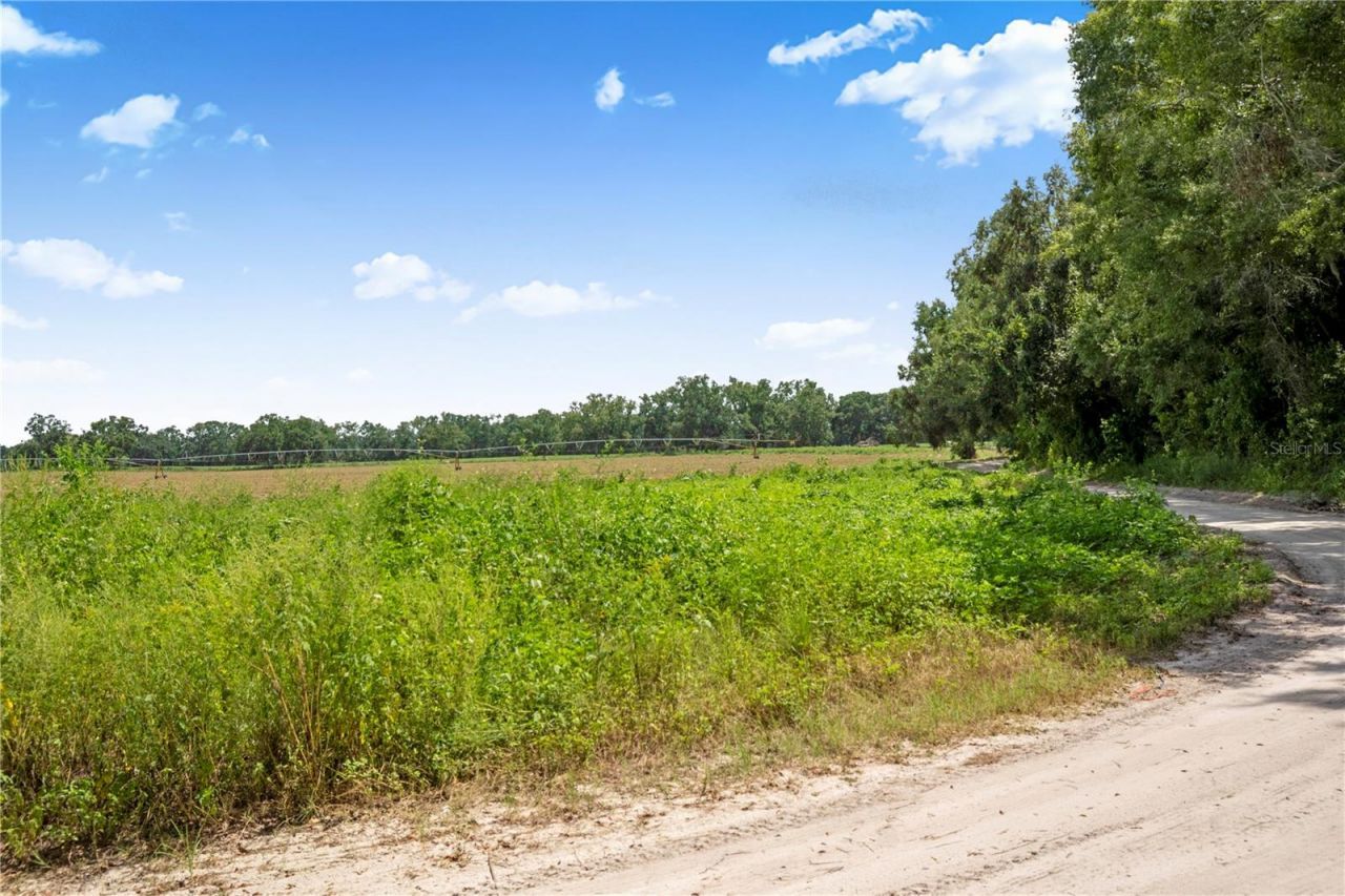 3749 V SW 22nd Place , Bell, FL 32619 Photo