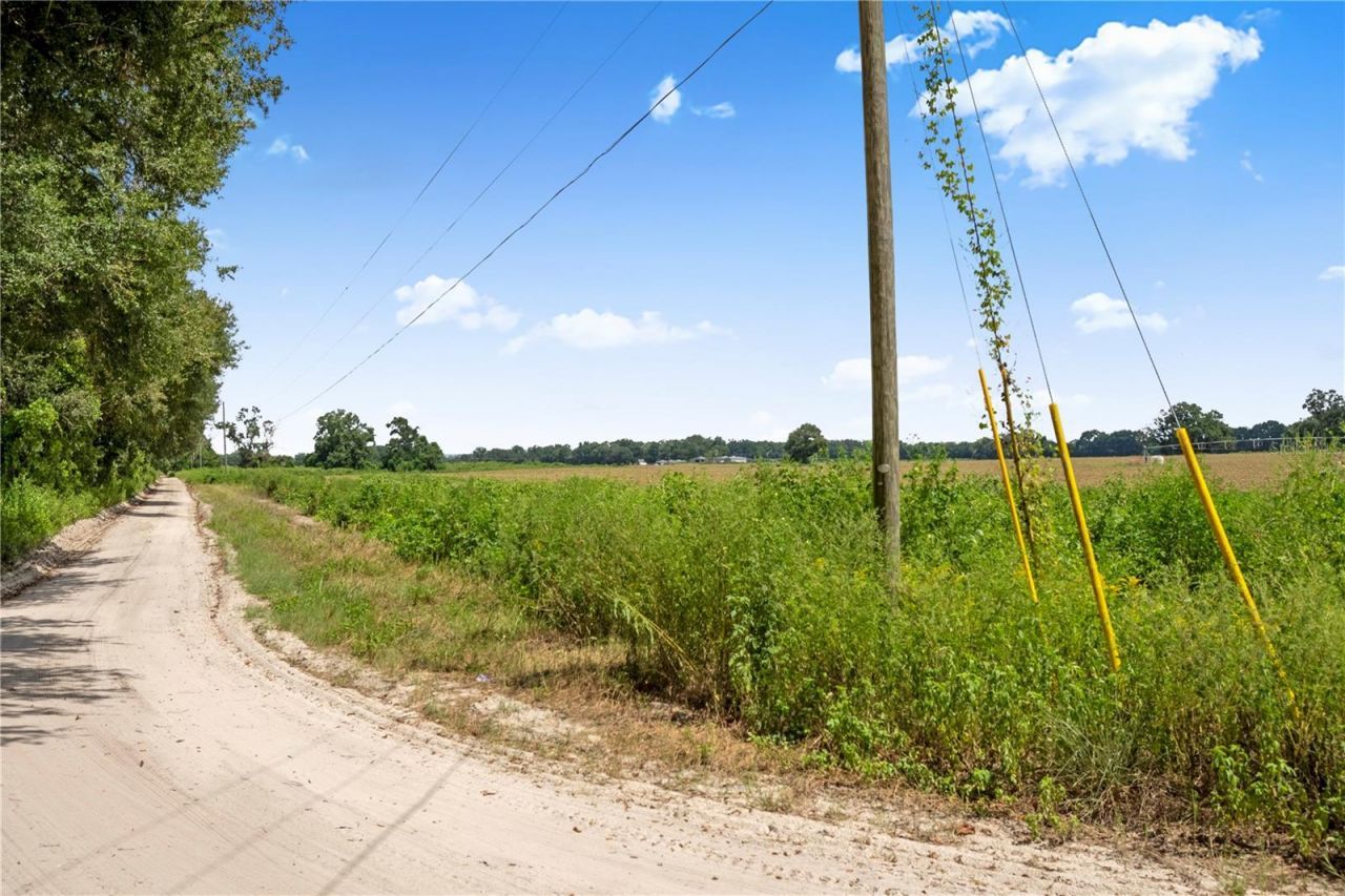 3749 V SW 22nd Place , Bell, FL 32619 Photo