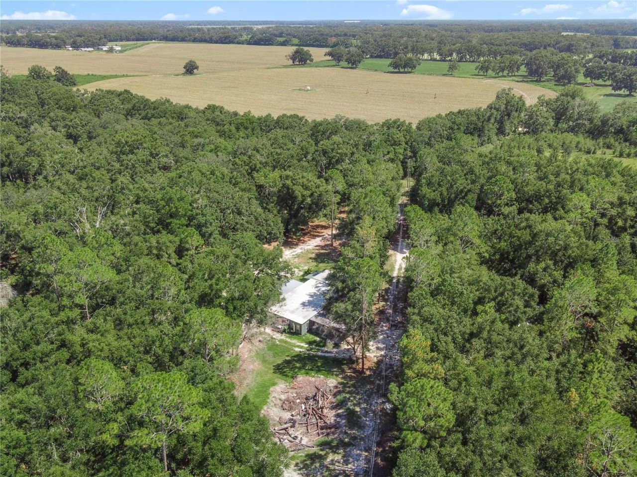 3749 V SW 22nd Place , Bell, FL 32619 Photo