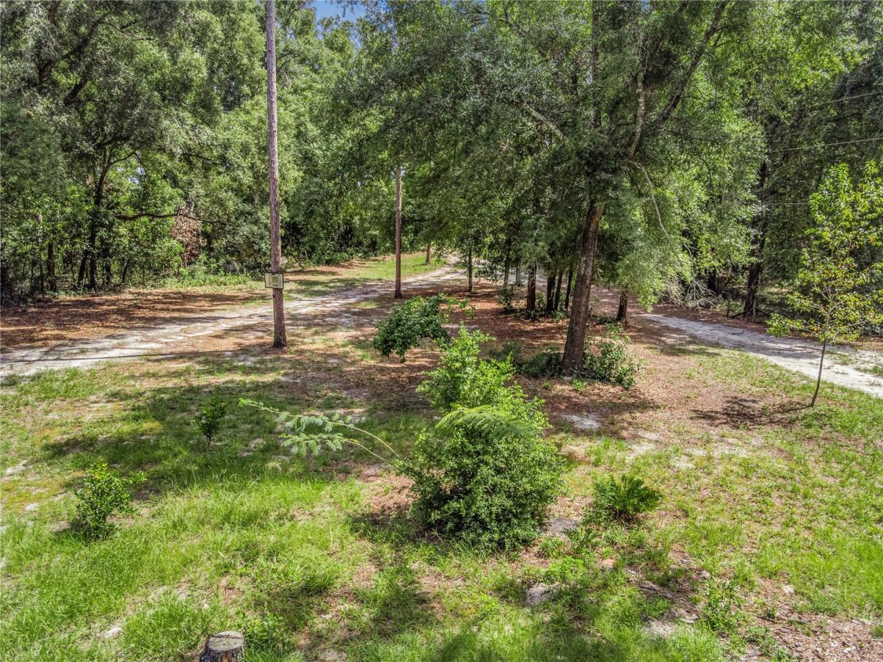 3749 V SW 22nd Place , Bell, FL 32619 Photo