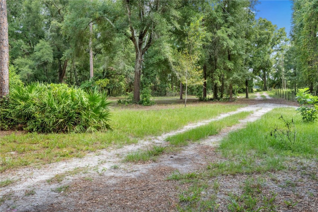 3749 V SW 22nd Place , Bell, FL 32619 Photo