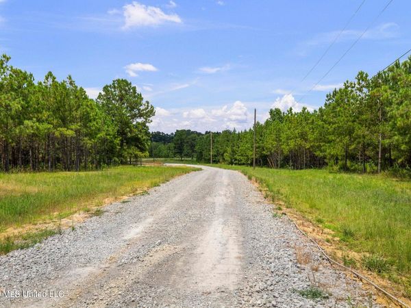 Stout Meadows Lane, Lot 17 , Madison, MS 39110