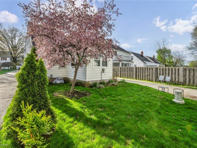 1227 Avondale Road, South Euclid, OH 44121 Photo 24