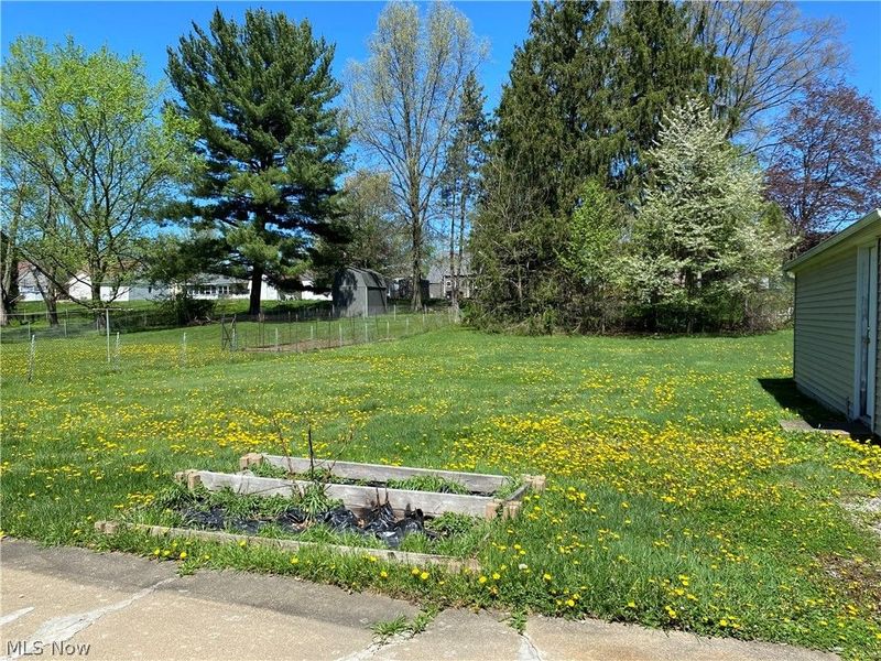 4138 Burkey Road, Austintown, OH 44515 Photo 4