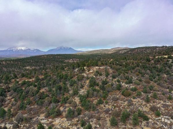 15585 Arrowhead Rd, Weston, CO 81091