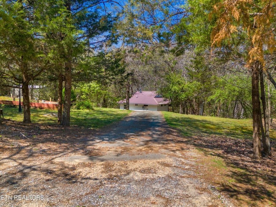 Property Image 46