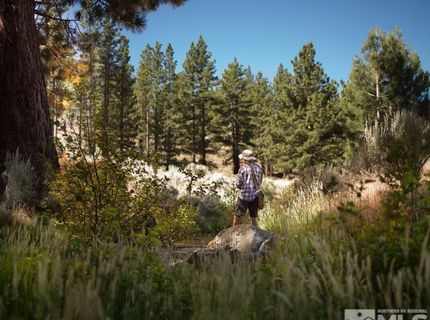 546 Headwaters Way, Lot #364, Carson City, NV 89705 Photo