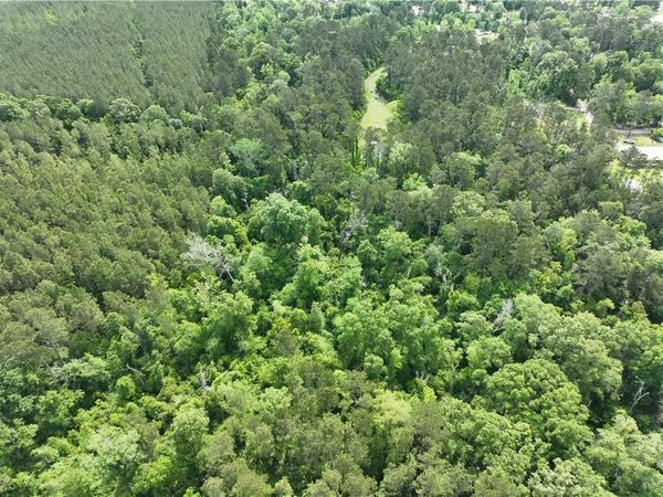 SHADOW LAKE Drive , Holden, LA 70744