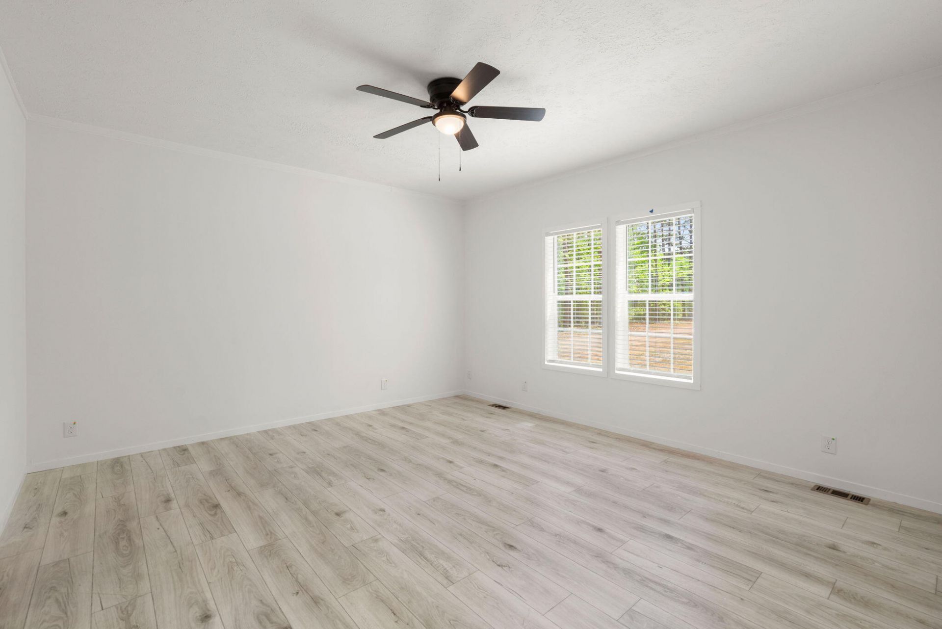 184 Gaines Circle Photo 18