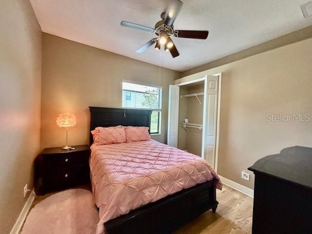 22444 Oakville Drive, Land O Lakes, FL 34639 Photo