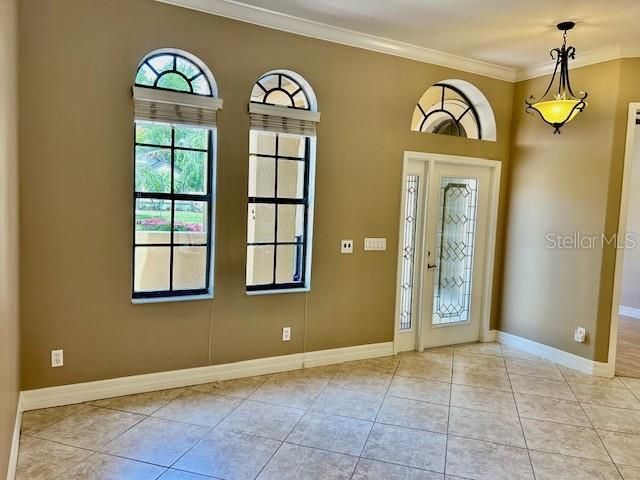 22444 Oakville Drive, Land O Lakes, FL 34639 Photo