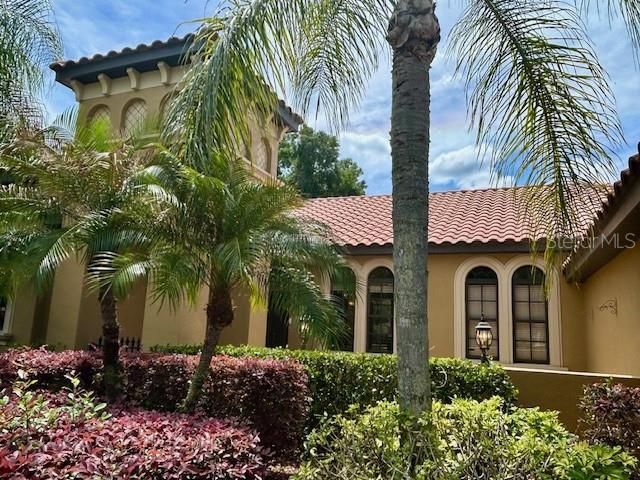 22444 Oakville Drive, Land O Lakes, FL 34639 Photo