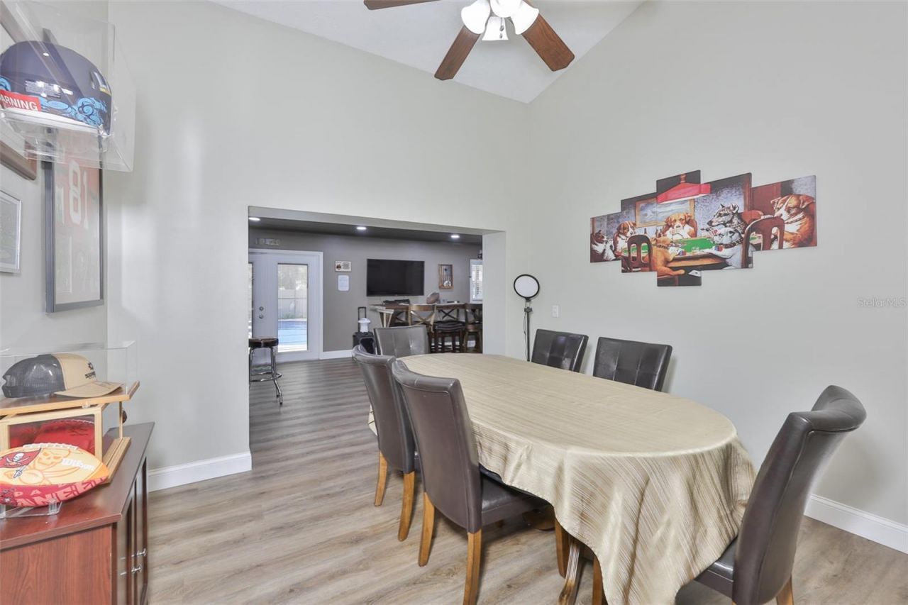 3931 Appletree Drive, Valrico, FL 33594 Photo