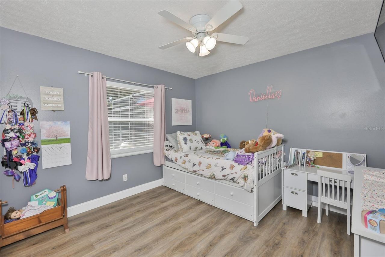 3931 Appletree Drive, Valrico, FL 33594 Photo