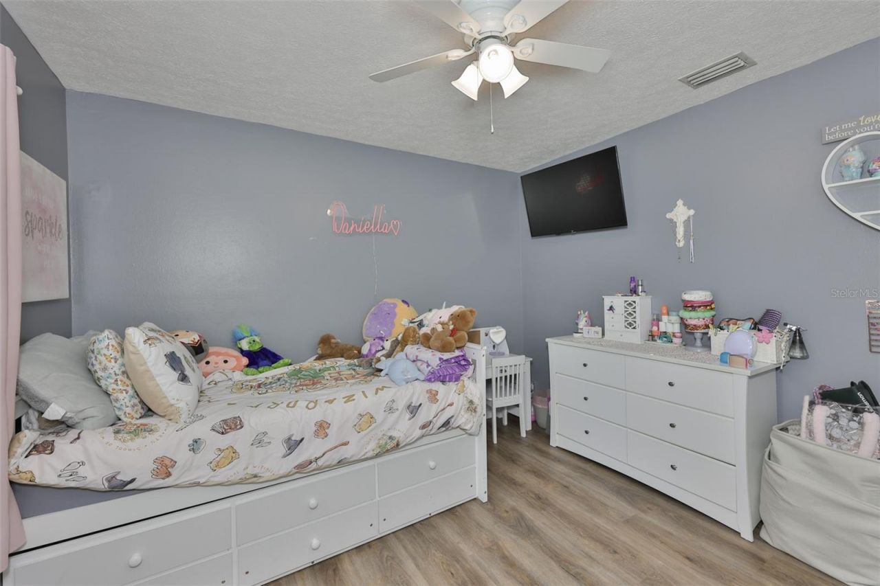 3931 Appletree Drive, Valrico, FL 33594 Photo