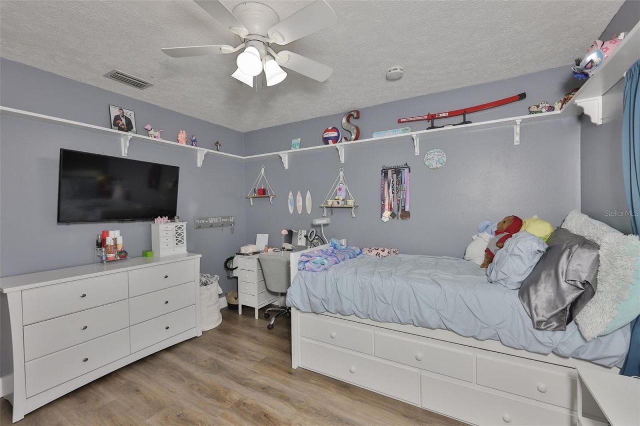 3931 Appletree Drive, Valrico, FL 33594 Photo