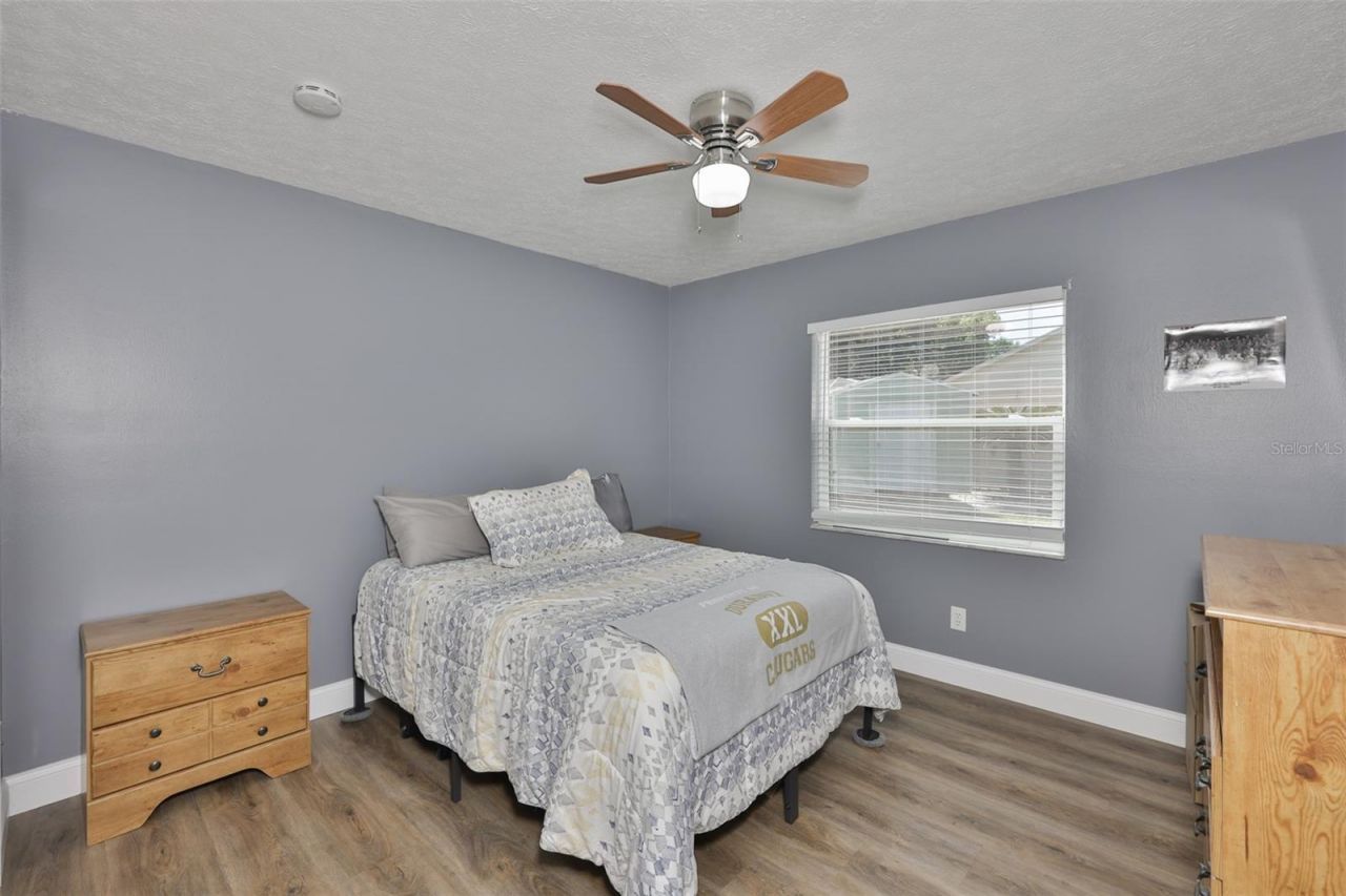 3931 Appletree Drive, Valrico, FL 33594 Photo