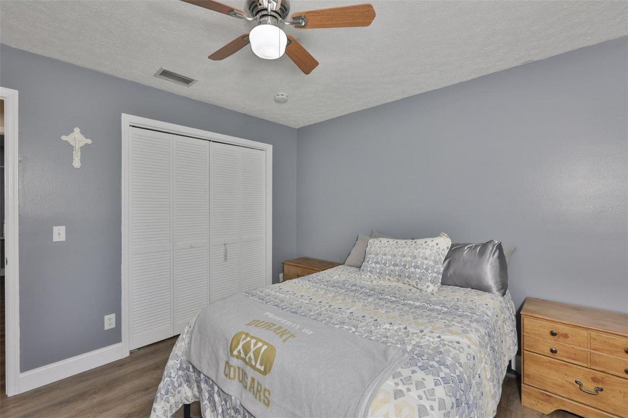 3931 Appletree Drive, Valrico, FL 33594 Photo