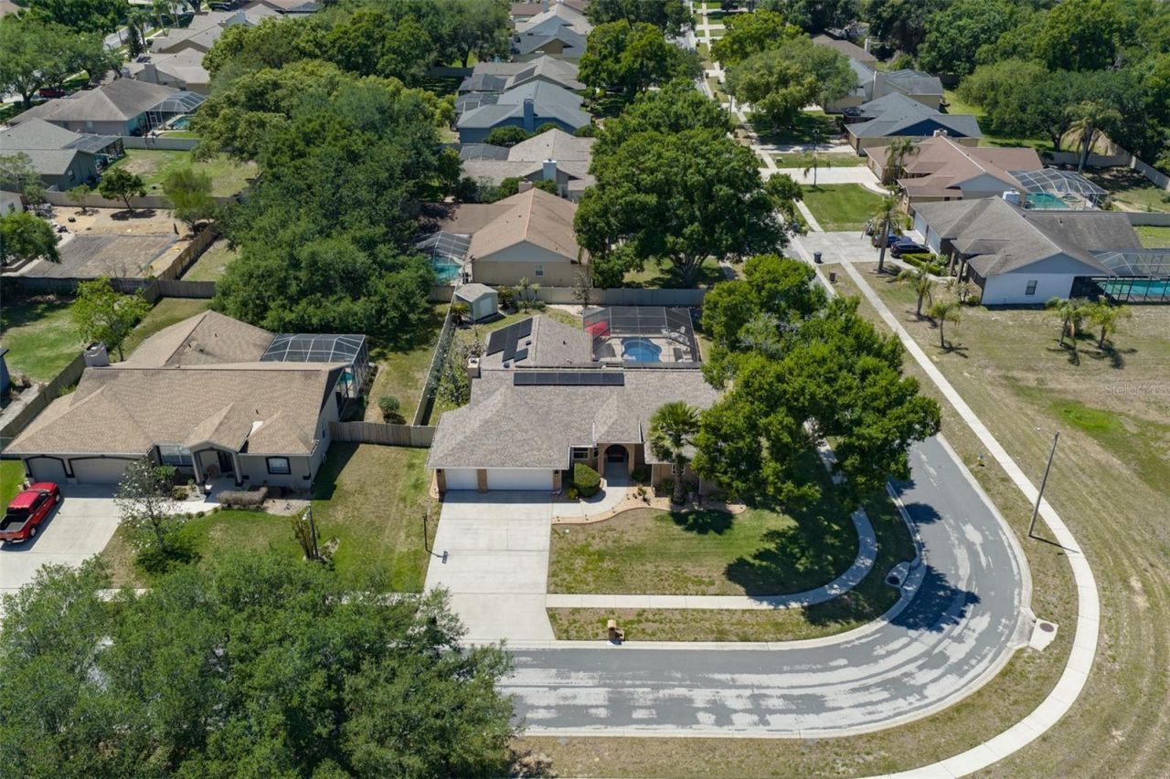 3931 Appletree Drive, Valrico, FL 33594 Photo