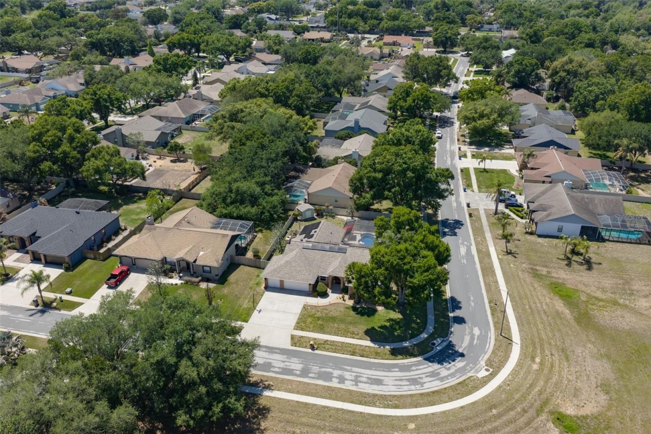 3931 Appletree Drive, Valrico, FL 33594 Photo