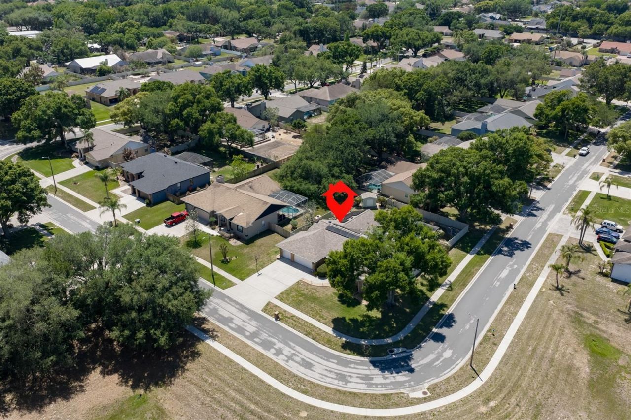 3931 Appletree Drive, Valrico, FL 33594 Photo