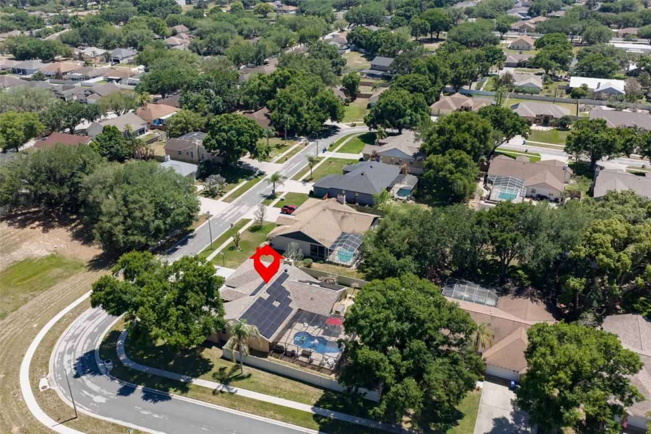 3931 Appletree Drive, Valrico, FL 33594 Photo