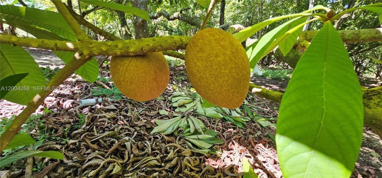 15300 SW 193 , Kendall, FL 33187 Photo