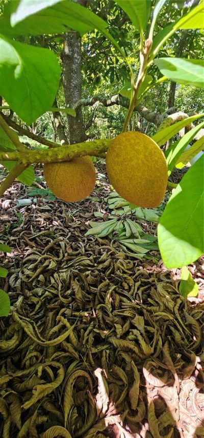 15300 SW 193 , Kendall, FL 33187 Photo