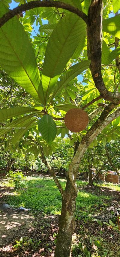 15300 SW 193 , Kendall, FL 33187 Photo