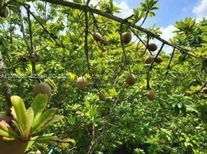 15300 SW 193 , Kendall, FL 33187 Photo