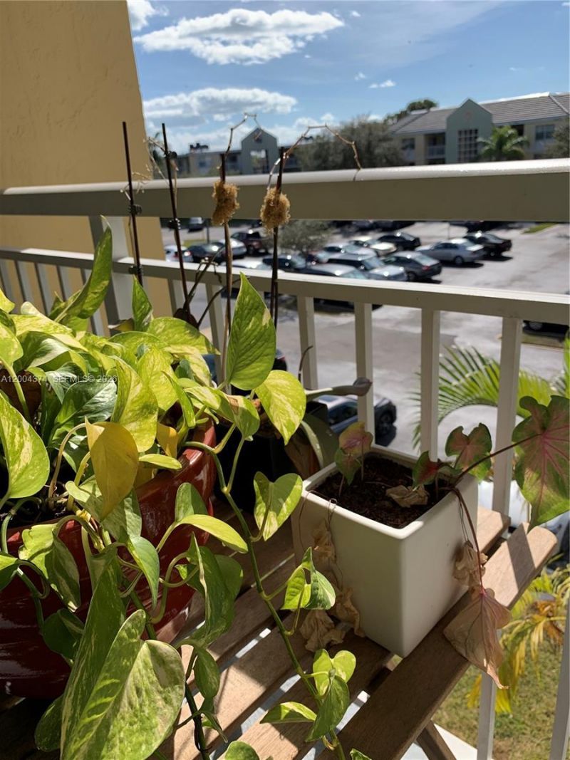 8660 SW 212th St, Unit 305, Cutler Bay, FL 33189 Photo
