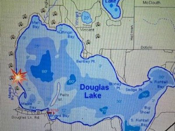 1.43AC Silver Strand Road, Levering, MI 49755