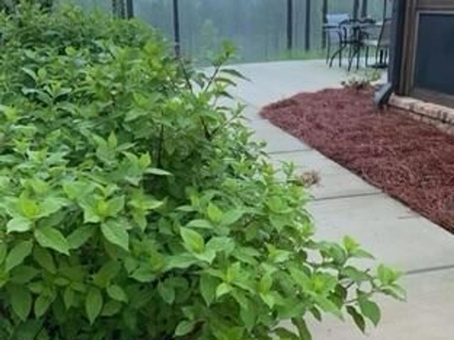 Property Image 89